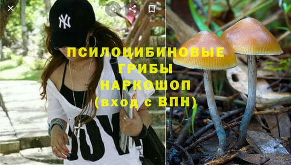 таблы Аркадак
