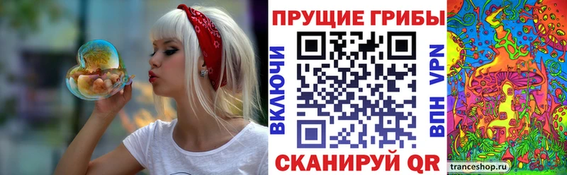 Псилоцибиновые грибы GOLDEN TEACHER  Петрозаводск 